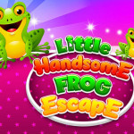 Little Handsome Frog Escape